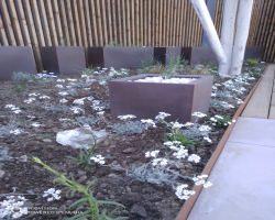 Création de jardin à Sainte-Foy-Lès-Lyon